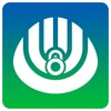 青花 